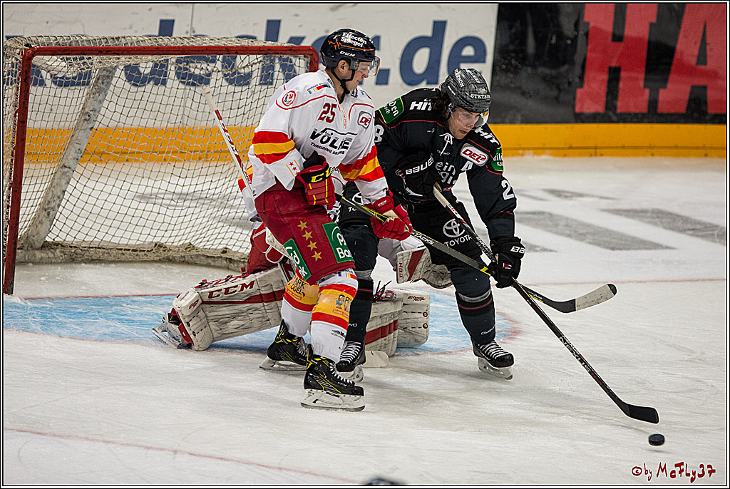 DEL, Koelner Haie - Duesseldorfer EG, 14.02.2017